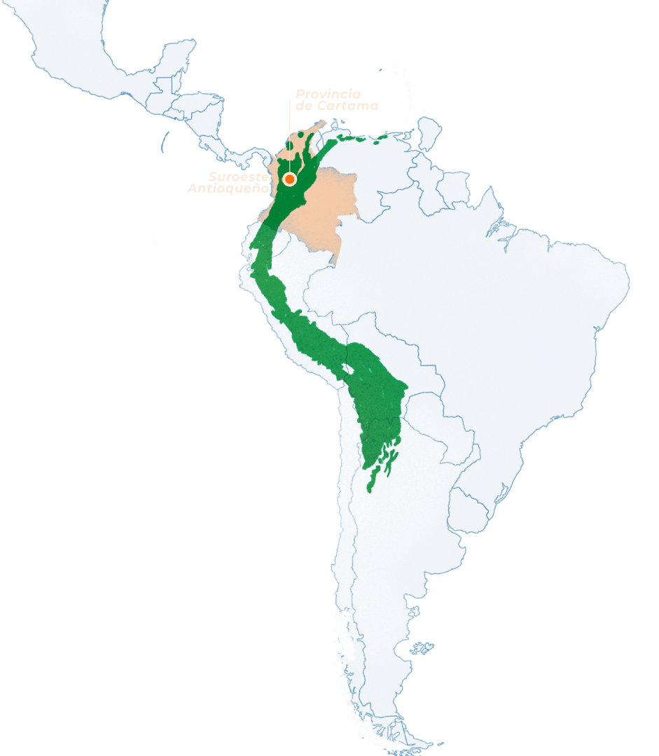 Inicio 35 NUESTRO TERRITORIO MAPA IMG