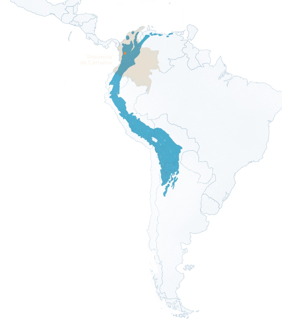 Inicio 61 mapa suramerica 2