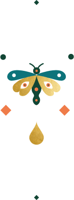 mariposa vision suroeste